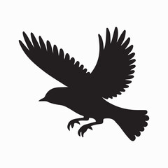 Bird Silhouette with Detailed Plumage Pattern