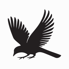 Fototapeta premium Bird Silhouette with Detailed Plumage