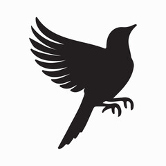 Bird Silhouette with Extended Talons