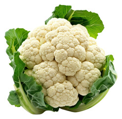 PNG Photo of cauliflower vegetable plant food.