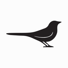 Bird Silhouette with Open Wing Feathers