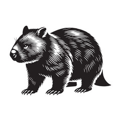 Wombat silhouette for innovative media and design projects - Wombat black vector
