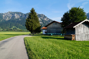 scenic, sunlit, lush green spring alpine meadows of the Schwangau village with the Bavarian Alps in the background in the Allgaeu region in Bavaria, Germany	