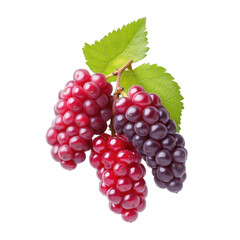 Fototapeta premium Fresh and Juicy Grapes Cluster with Green Leaves Isolated on White Background for Healthy Eating and Cooking