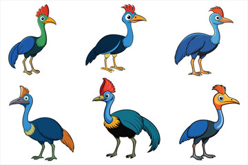 cassowary isolated vector illustration realistic