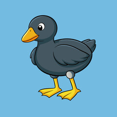 illustration of a cartoon American coot