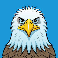 american bald eagle