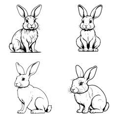 rabbit icon design image