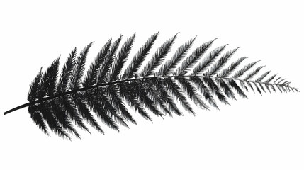 Fern or palm leaf black icon on transparent background