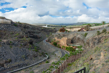 Obraz premium rugged landscape and vegetation in Tenerife
