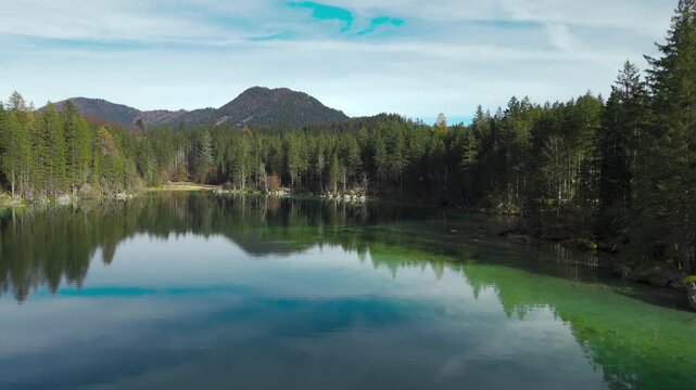 Drohnenaufnahme von einem See mit angrenzenden Wald und Bergen im Hintergrund.