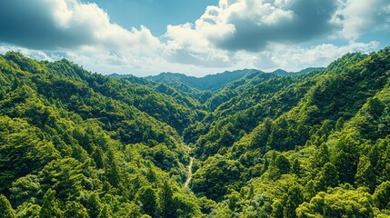 Fototapeta premium Lush Green Mountainscape: A Verdant Valley Panorama