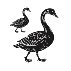 Side view of a white, green and brown Flying Mallard Drake