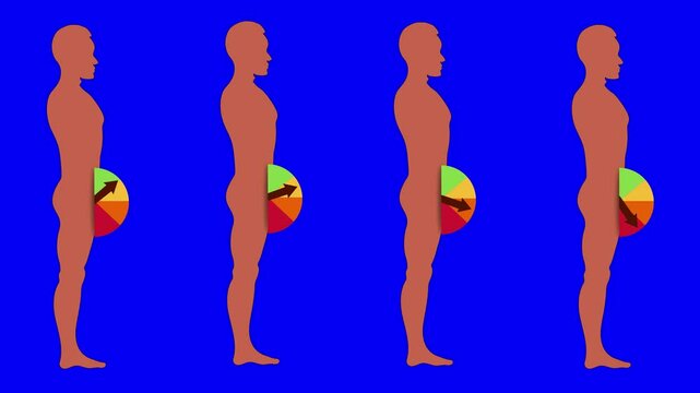 Color-coded erectile function chart with animated arrow on green, blue chromakey, and transparent background.