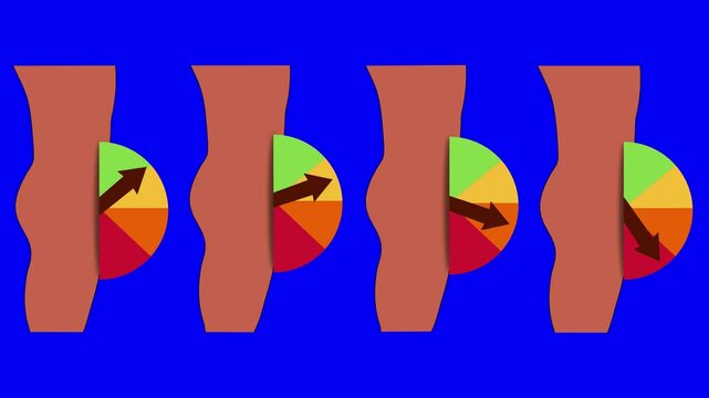 Animation of a stationary nude male side view with an animated arrow indicating erectile function on a color-coded chart