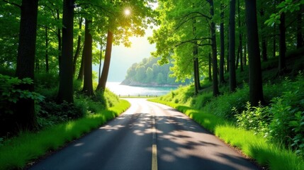 Obraz premium Serene Summer Road Winding Through Lush Green Forest Towards a Tranquil Lake