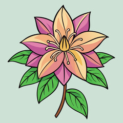 vector illustration of a flower