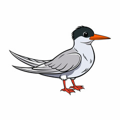 black and white bird
