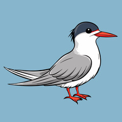 vector illustration of a bird
