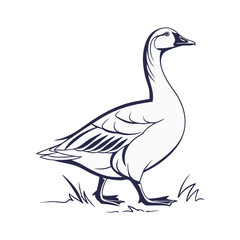 Duck silhouettes, duck vector collection, various poses, black isolated figures on white background, perfect for wildlife, nature-themed designs, logos