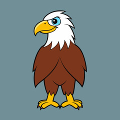 american bald eagle
