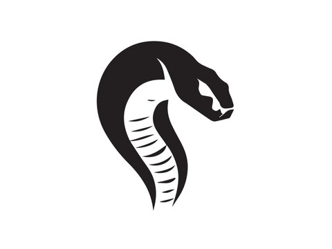 Black Snake Silhouette. Snake icon. Snake logo. Black snake silhouette isolated on white background. Vector illustration. 
