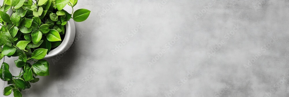 Poster Green plant in a white pot on a textured gray surface with copy space for text layout and design. Generative AI