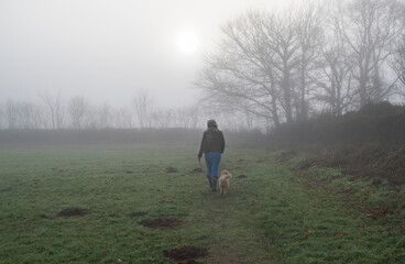 Dog walking. A lady walks a dog on a misty winters morning through a rural field landscape, shrouded in early morning mist. Cavapoo dog. Foggy day during winter, autumn and fall. 