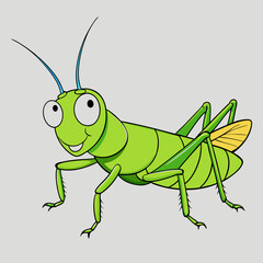 green grasshopper isolated on white background