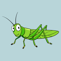 green grasshopper isolated on white background