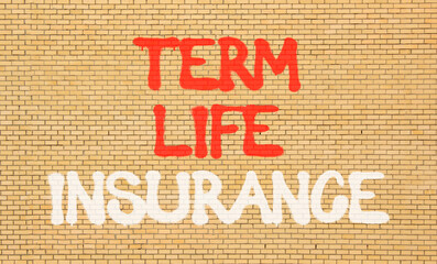 Term life insurance symbol. Concept words Term life insurance on beautiful brown brick wall....