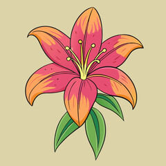 lily flower vector illustration