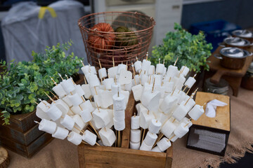 Enjoy these delicious Marshmallow Skewers, perfect for entertaining and gatherings