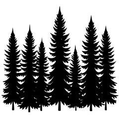 Obraz premium silhouettes of fern