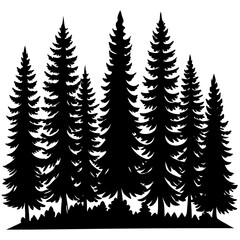 Fototapeta premium pine tree forest silhouette, 