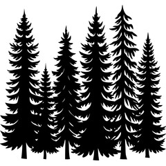 Fototapeta premium pine tree forest silhouette, 