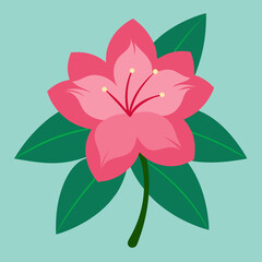 vector illustration of a azalea flower