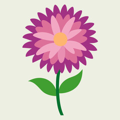 aster flower vector
