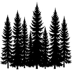 Obraz premium pine tree forest silhouette, 