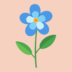 forget me not flower vector illustration 