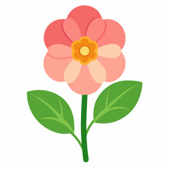 vector illustration of a primrose flower