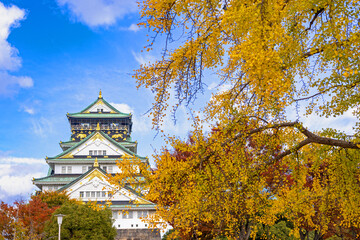 Fototapeta premium Landscape view of Osaka Castle main keep during autumn season at Osaka ,Japan
