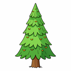lodgepole pine tree vector illustration