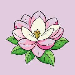 vector illustration of a magnolia