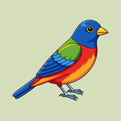 vector illustration of a painted bunting bird
