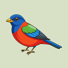 vector illustration of a painted bunting bird