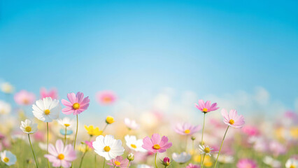 Vibrant meadow flowers under a bright blue sky nature scene springtime bliss serene environment captivating view
