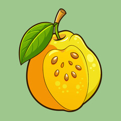 quince vector illustration