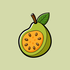 vector illustration of a sapote