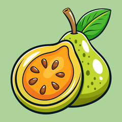 vector illustration of a sapote